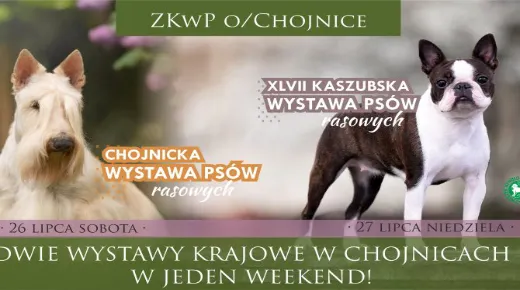 Zdjęcie newsa
