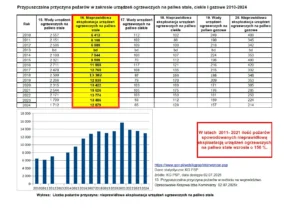Przypuszczalna przyczyna pożarów w zakresie urządzeń ogrzewczych na paliwa stałe ciekłe i gazowe 2010-2024