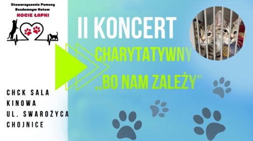 Zdjęcie newsa