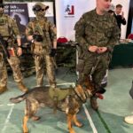 Wojskowe Targi Pracy i Służby w Chojnicach