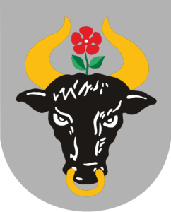 Herb Miasta Chojnice