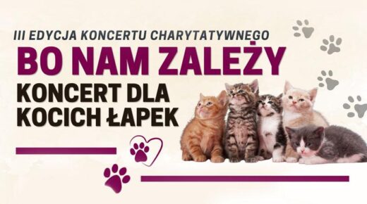 Zdjęcie newsa